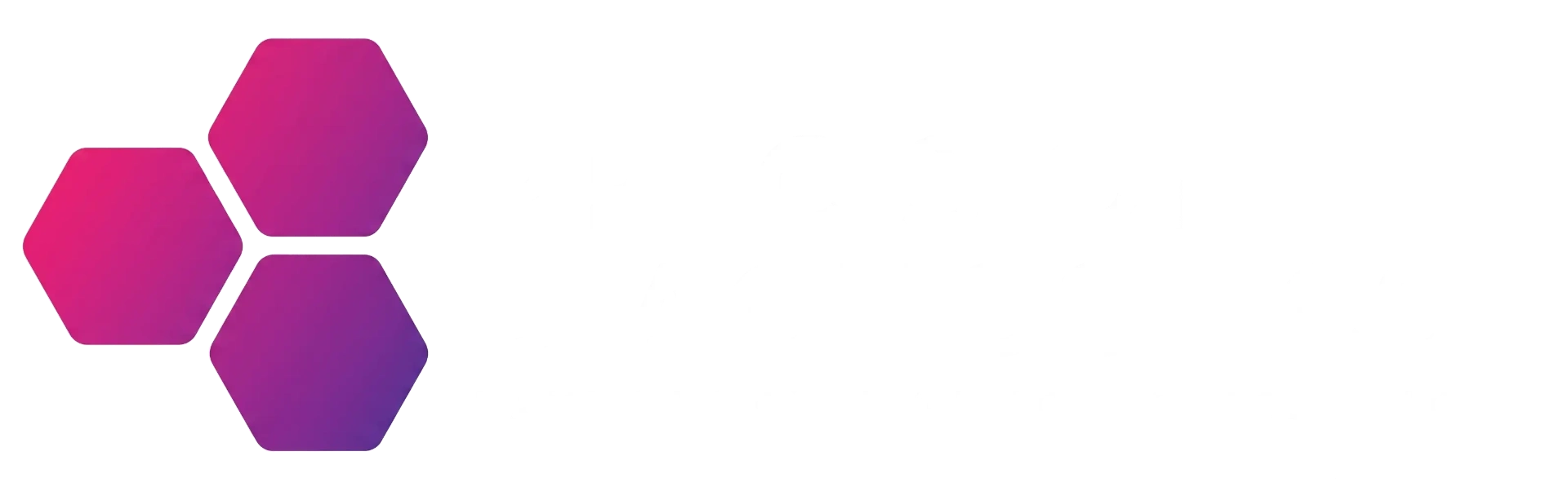 Precizna Dijagnostika logo